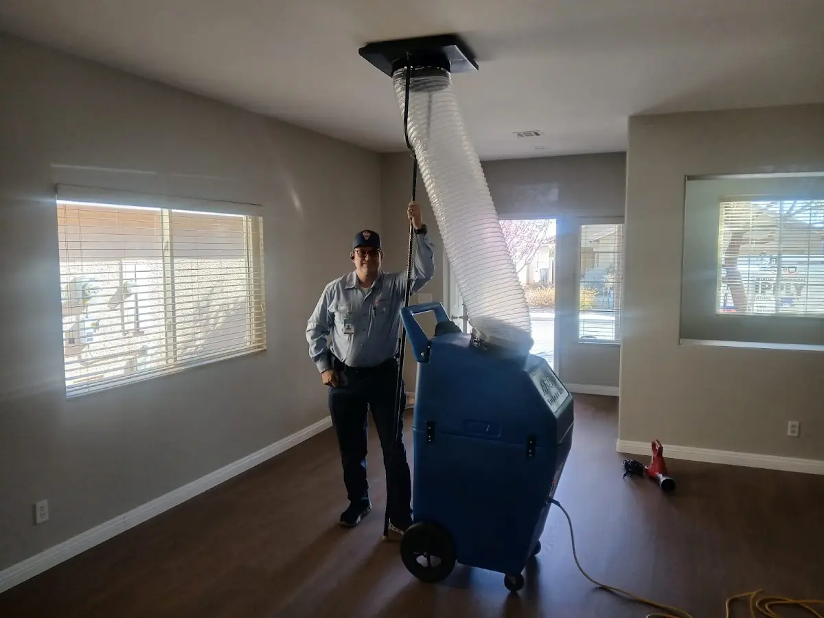 Professional Dryer Vent Cleaning work inside a Anthony home